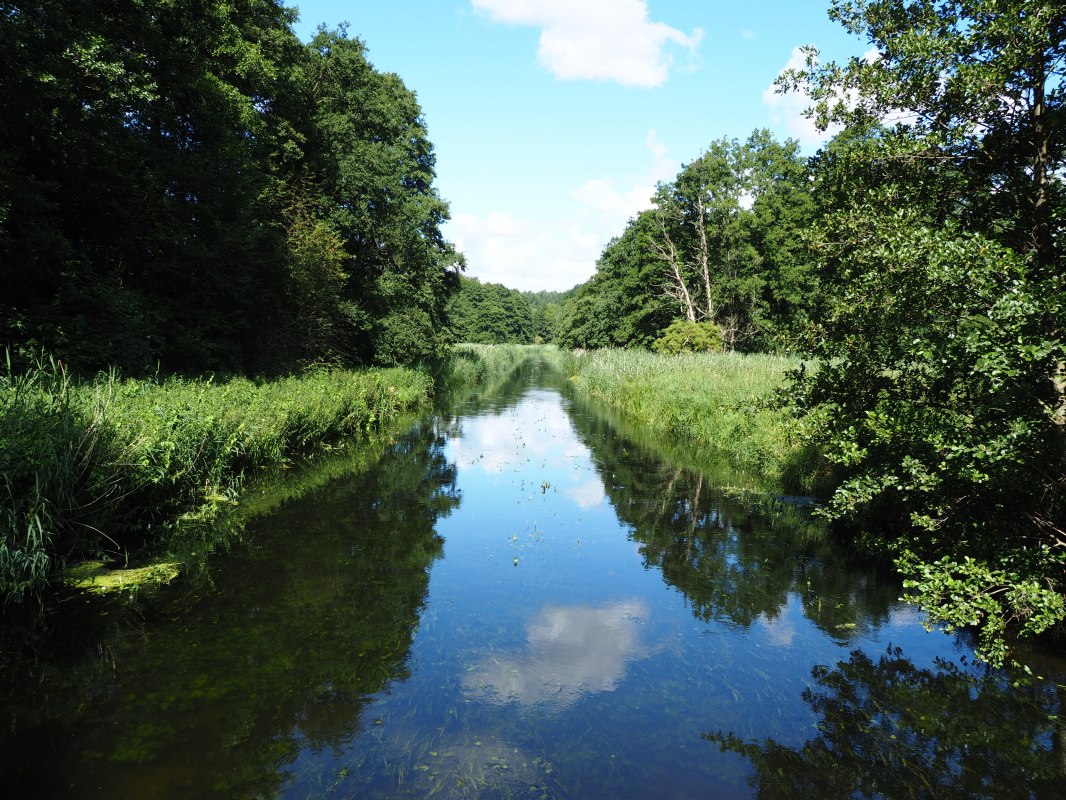 Warnow bei Kaarz // &copy; Naturpark Sternberger Seenland; Volker Brandt