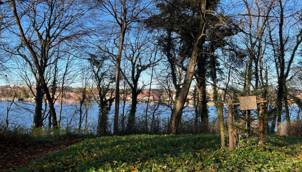 Blick auf dem Malchower See, © Tourist-Information Malchow Blick auf dem Malchower See, © Tourist-Information Malchow