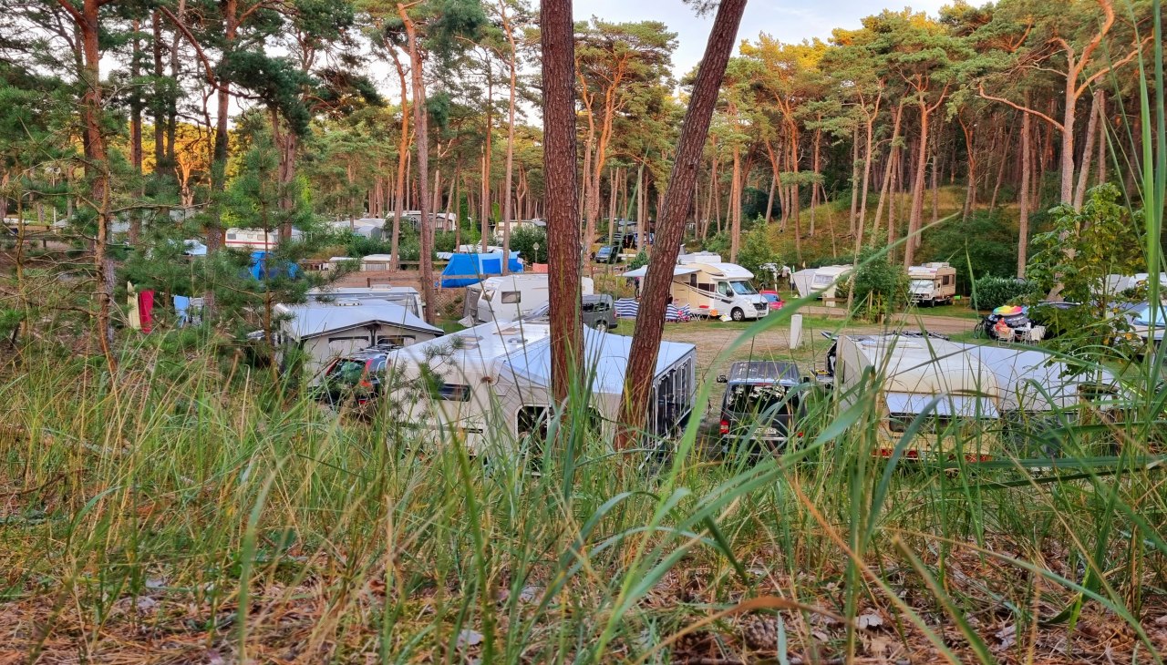 Blick auf den Campingplatz., © KV Trassenheide Blick auf den Campingplatz., © KV Trassenheide