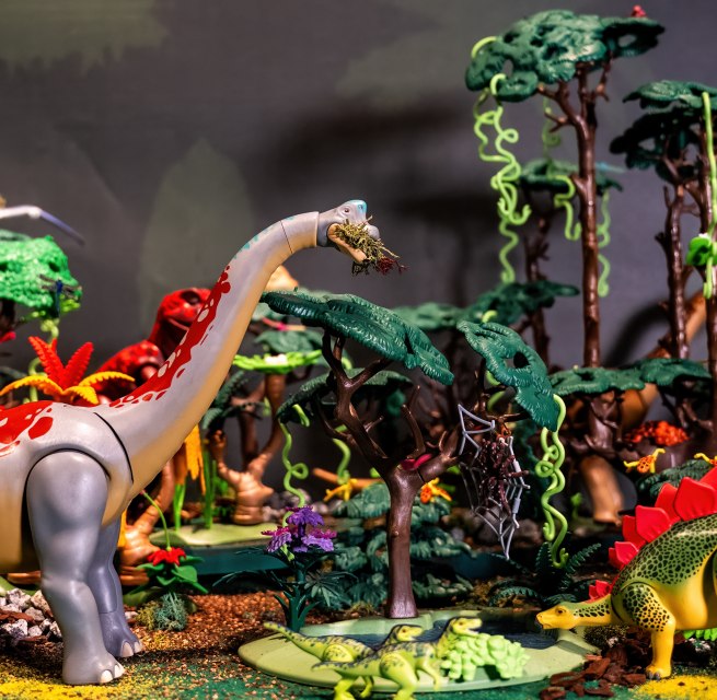 Ein PLAYMOBIL Diorama im Zoo Rostock. // © Zoo Rostock/ Drübbisch Ein PLAYMOBIL Diorama im Zoo Rostock. // © Zoo Rostock/ Drübbisch