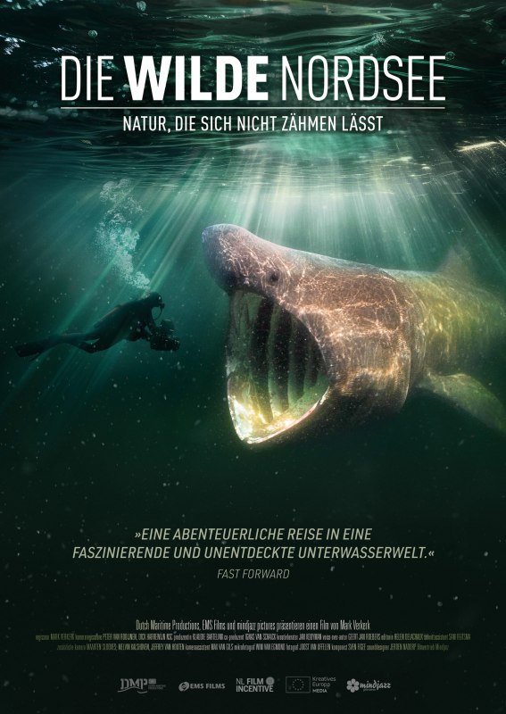 Filmplakat zu &bdquo;Die wilde Nordsee" &ndash; Naturdokumentarfilm im Klimakino // &copy; &copy; mindjazz pictures
