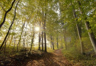 &copy; Kurverwaltung Goehren / Martin Stoever