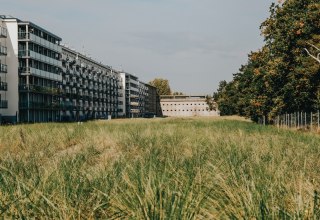 © Binzer Bucht Tourismus © Binzer Bucht Tourismus