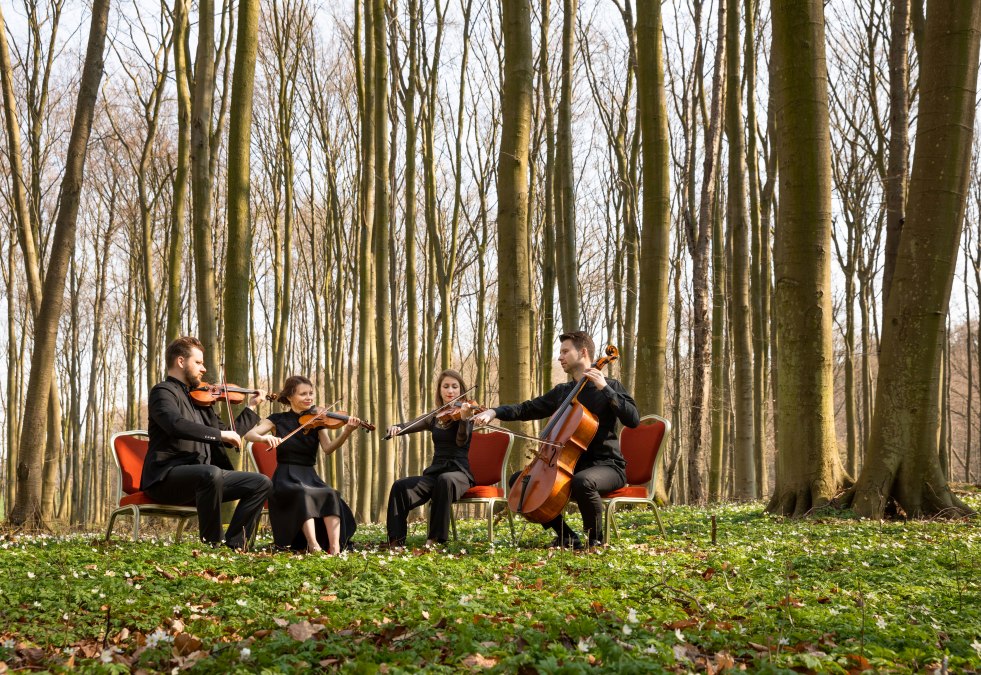 Armida Quartett, &copy; Oliver Borchert