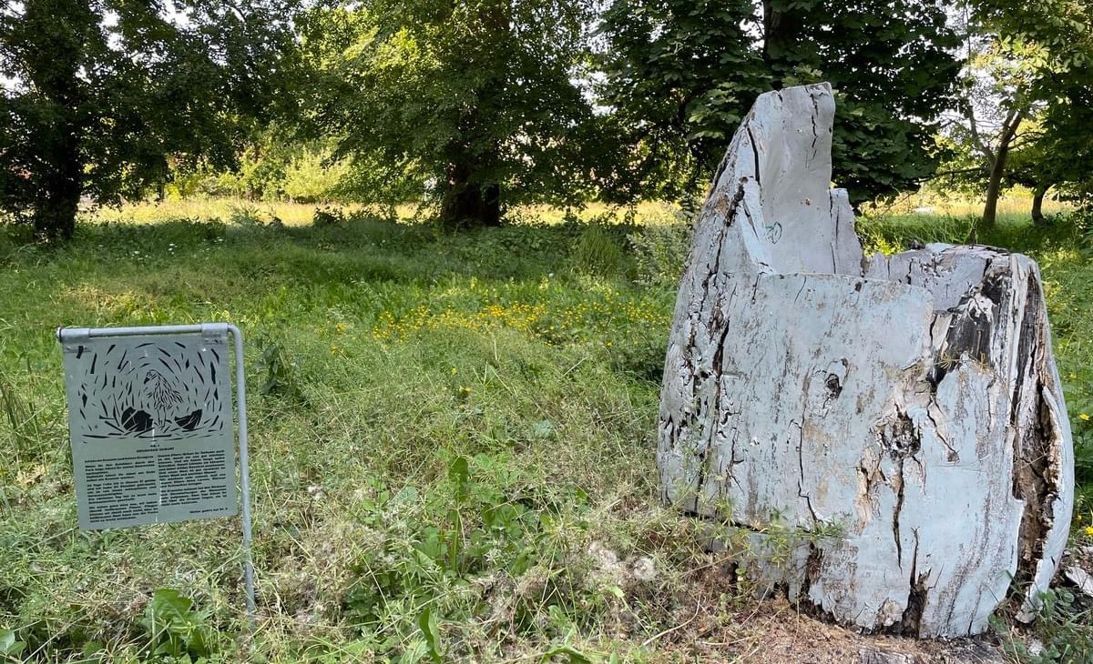 Station 1 Ei, © TZ Südliche Boddenküste Station 1 Ei, © TZ Südliche Boddenküste