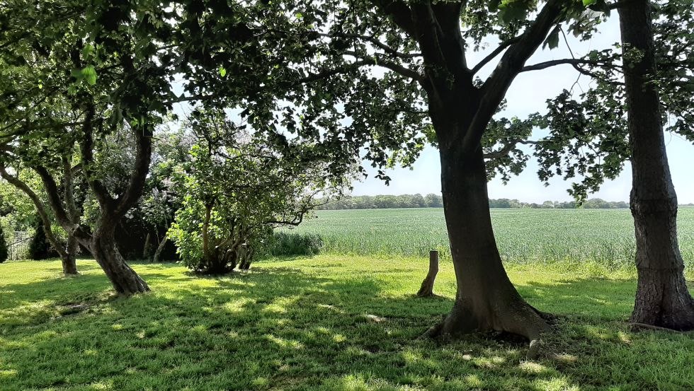© Gutshaus Neu Farpen © Gutshaus Neu Farpen