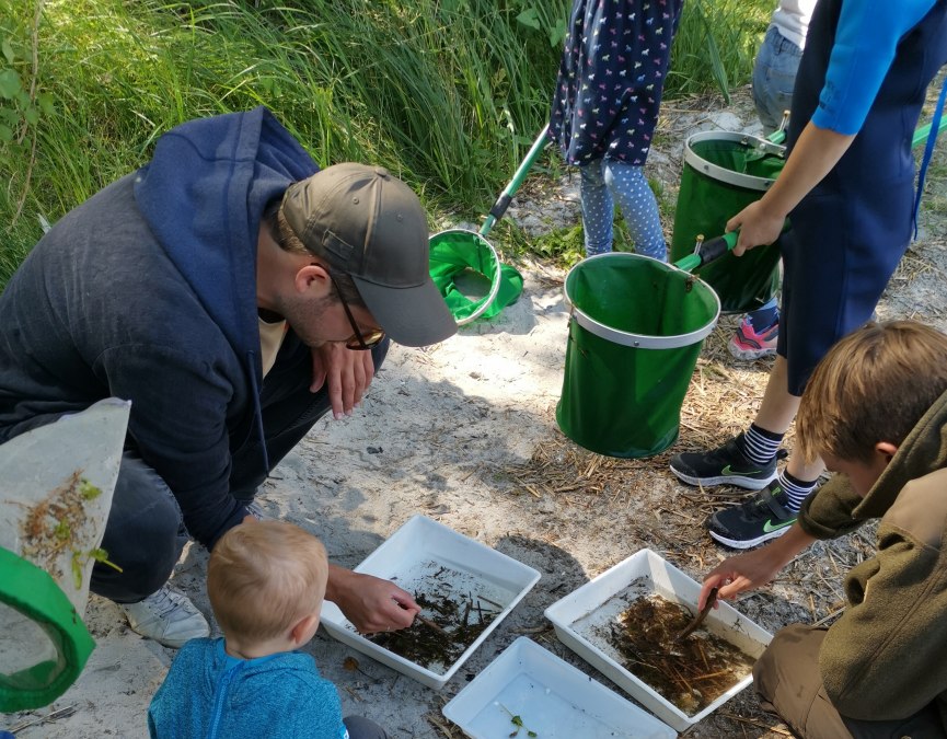 PM16_Eintauchen ins Leben der Müritz_W. Döbbert_Bild 4, © W. Döbbert PM16_Eintauchen ins Leben der Müritz_W. Döbbert_Bild 4, © W. Döbbert
