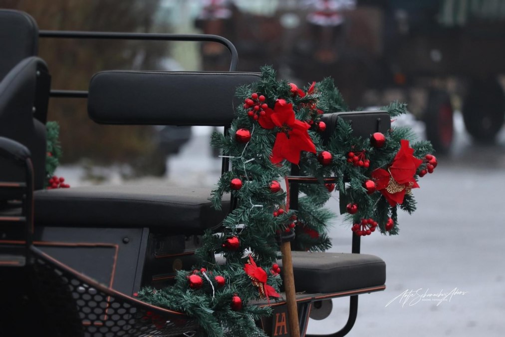 2023-12-12 07-12-39, © Adom Fotografie 2023-12-12 07-12-39, © Adom Fotografie