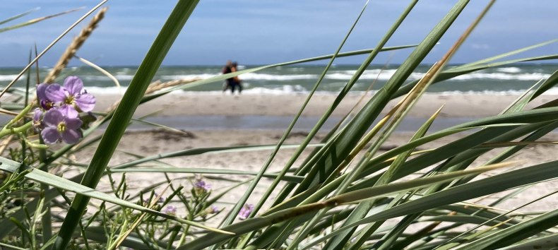 &copy; Nationalparkamt Vorpommern