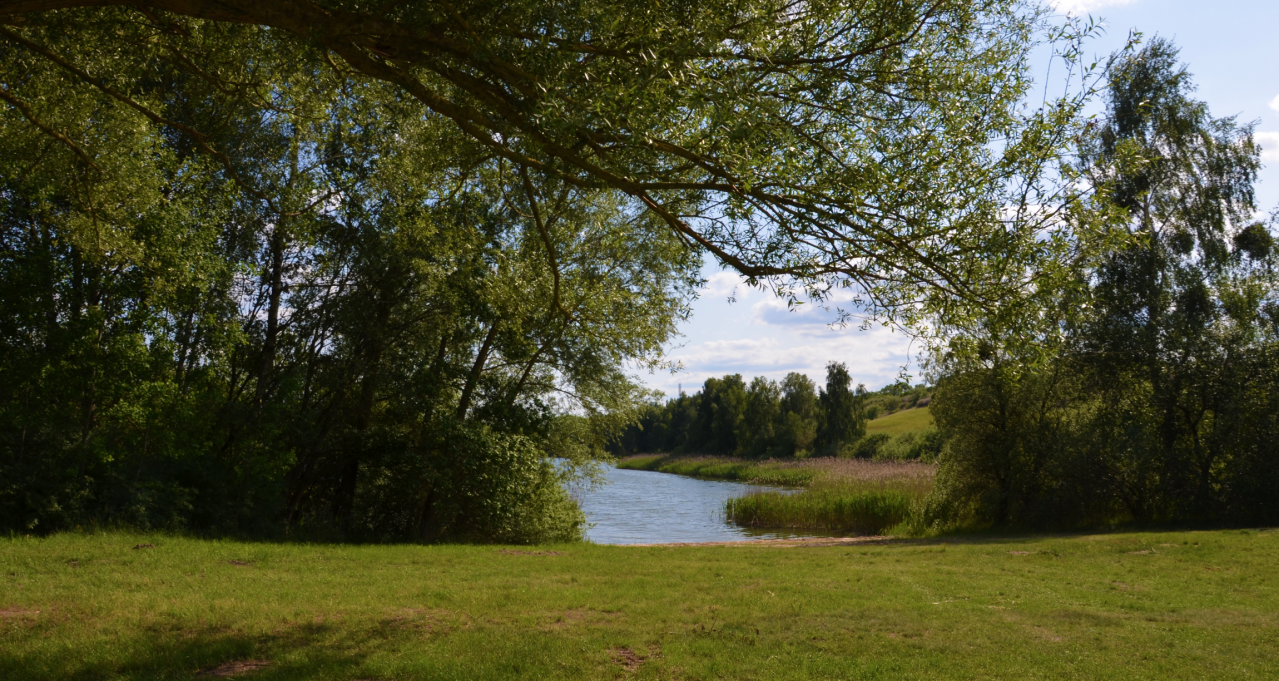 &copy; Martin M&ouml;ller