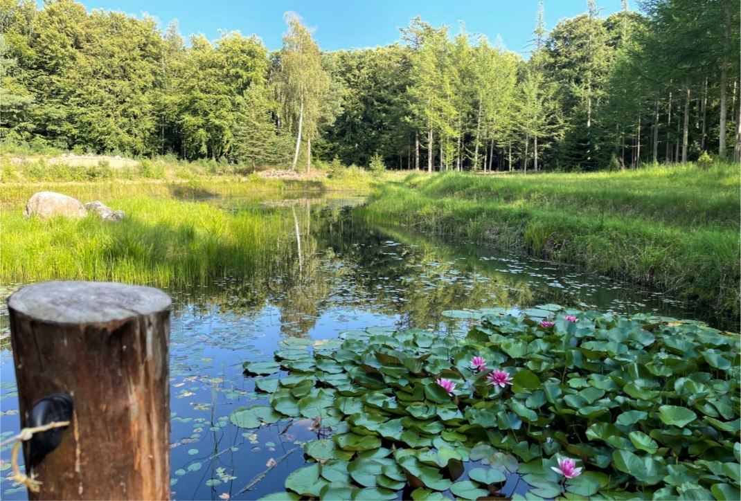 Natur im Einklang // © Südliche Boddenküste Natur im Einklang // © Südliche Boddenküste