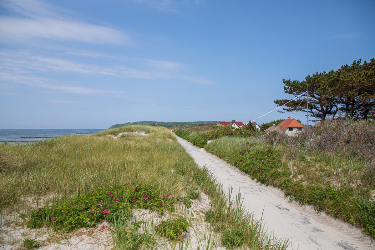 Erleben Sie die Insel Hiddensee bei einem Tagesausflug ab Stralsund. // © Weiße Flotte GmbH Erleben Sie die Insel Hiddensee bei einem Tagesausflug ab Stralsund. // © Weiße Flotte GmbH