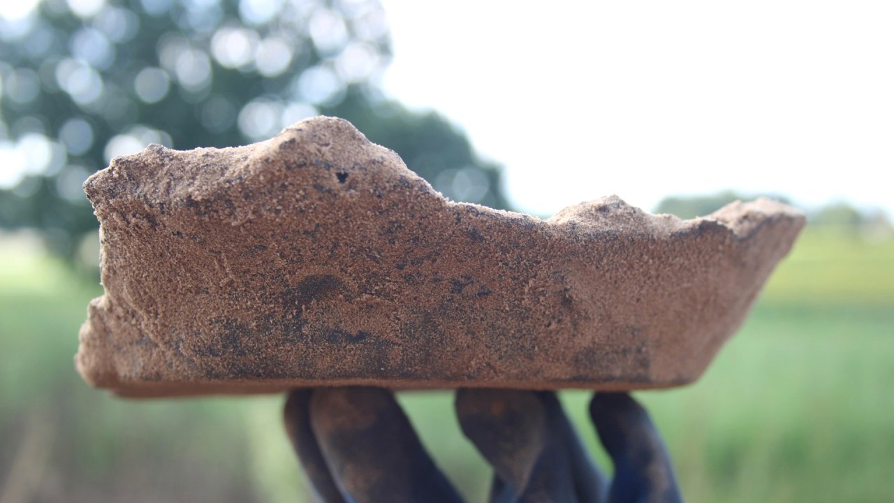 &copy; Foto: Dr. Martin Wagner