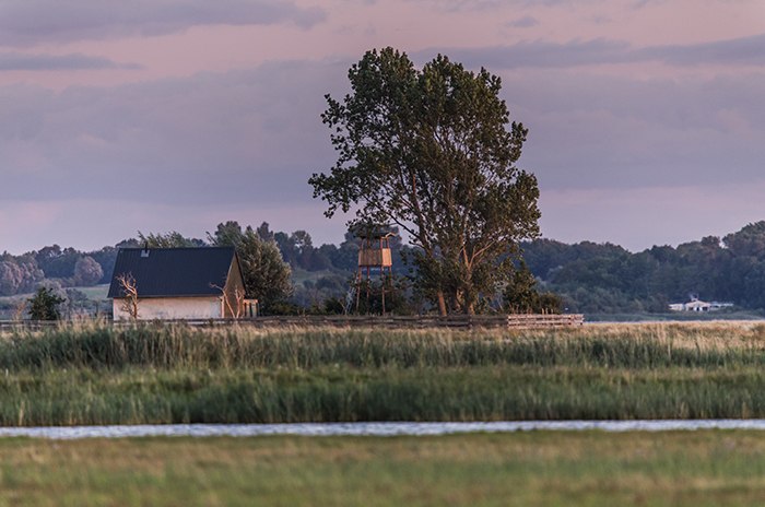 Blick auf die Vogelschutzinsel Kirr, © Martin Harms