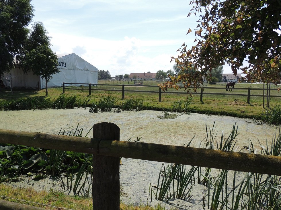 Blick auf die Weide des Reiterhofs Plath // &copy; Kurverwaltung Insel Poel