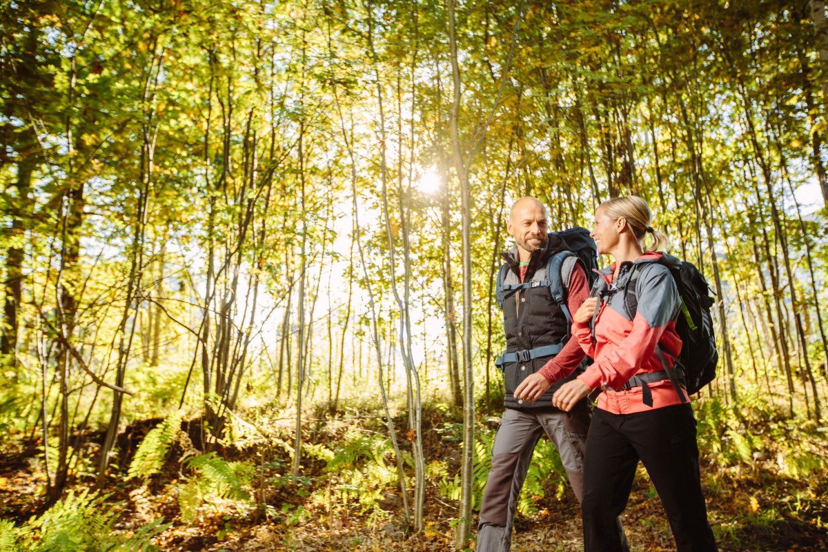 Wandern in der Rostocker Heide // © TZRW_T.Roth Wandern in der Rostocker Heide // © TZRW_T.Roth