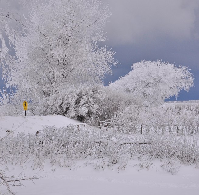 © Nationalparkamt Vorpommern