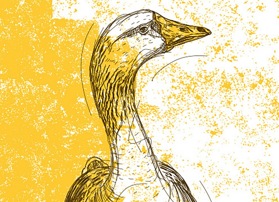 Gansessen im Restaurant Wehrmanns Alt-Heringsdorf, &copy; Strandhotel Ostseeblick