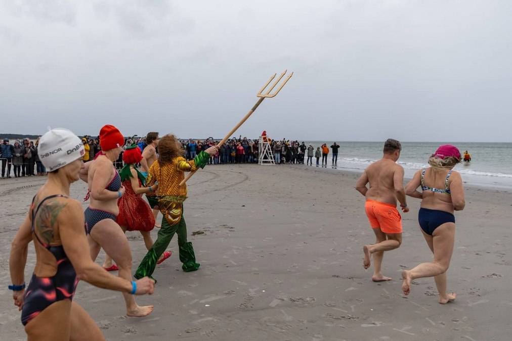 IMG_4326, © Kur- und Tourismusbetrieb Ostseebad Prerow IMG_4326, © Kur- und Tourismusbetrieb Ostseebad Prerow