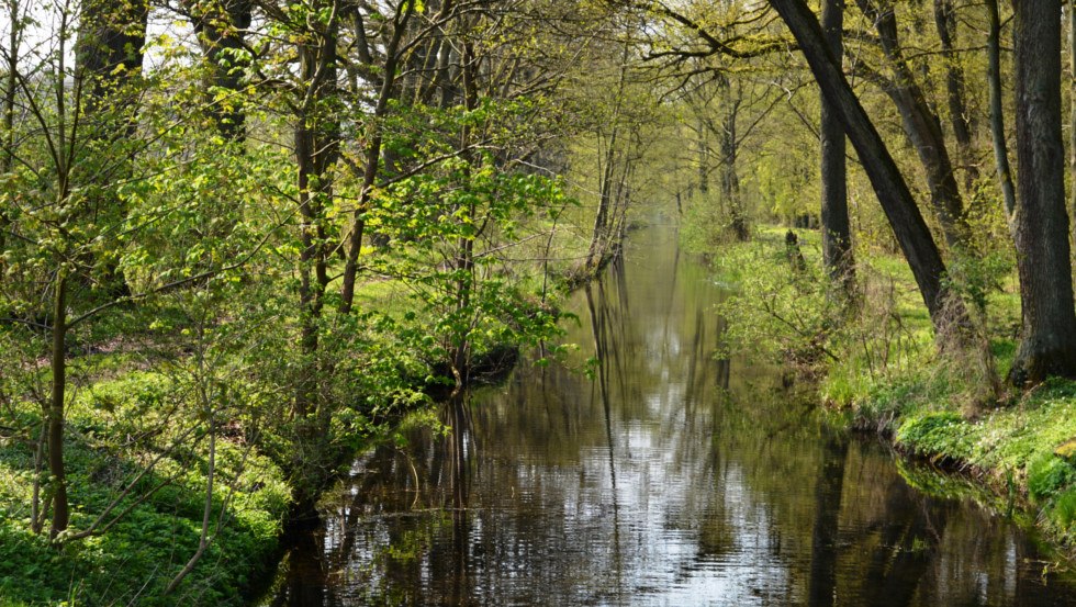 &copy; Foto: Tourismusverband Mecklenburg-Schwerin