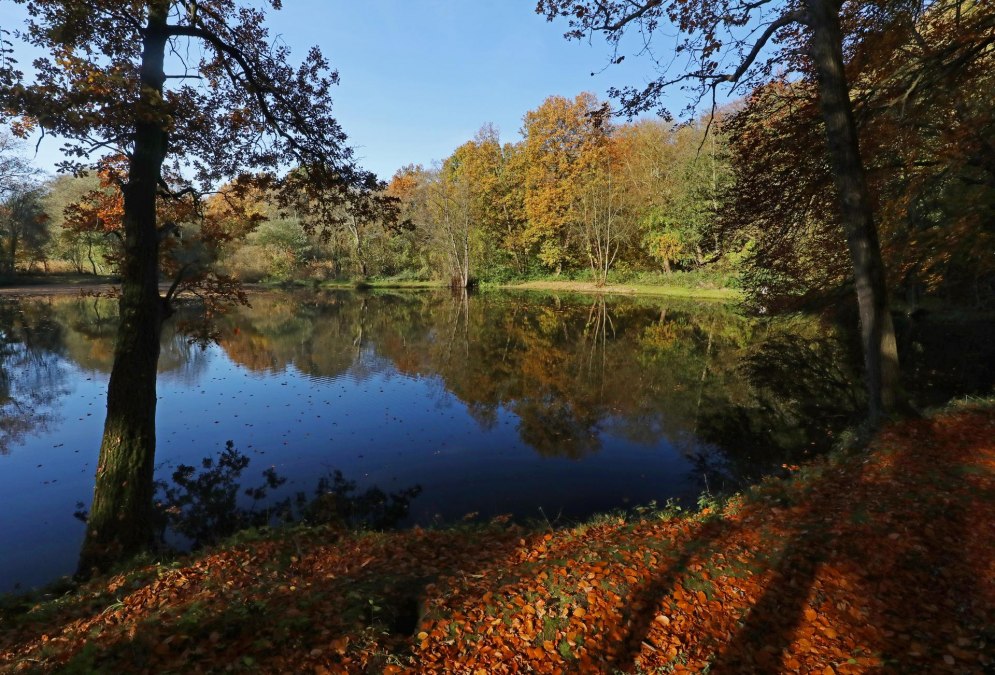 Landschaftsschutzgebiet Bekow, © TMV/Gohlke