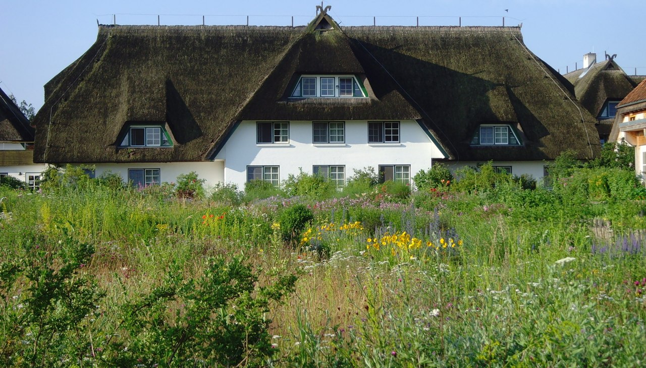 Gartenseite des Hotels Haferland, &copy; Martina Evers