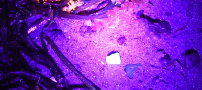 &copy; GeoPark Nordisches Steinreich