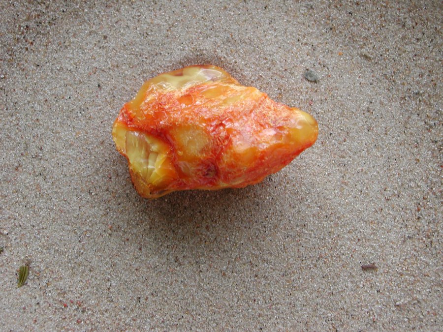 Bernsteinschleifen mit dem Bernsteinexperten Thomas Reich, © dscn8767 Bernsteinschleifen mit dem Bernsteinexperten Thomas Reich, © dscn8767