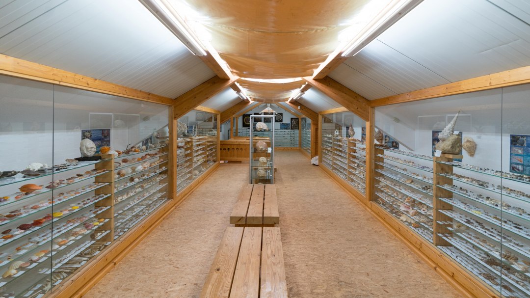 Natur-Schatzkammer, © Moritz Kertzscher Natur-Schatzkammer, © Moritz Kertzscher