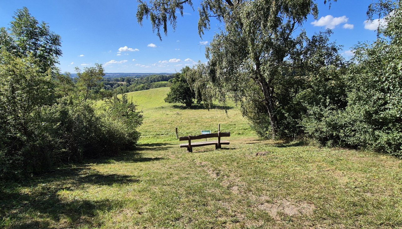 20250831_120933, © Gina Schulenberg 20250831_120933, © Gina Schulenberg