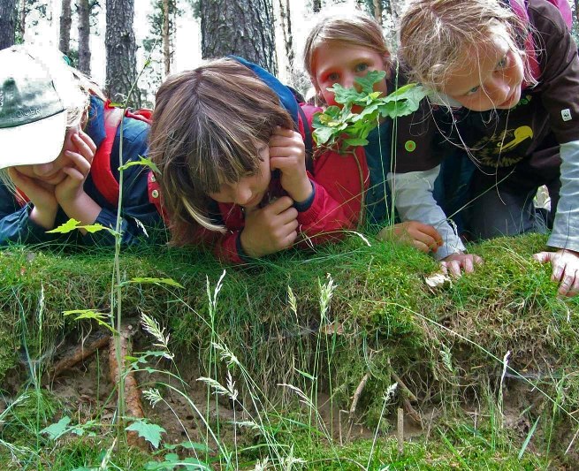 Spurensuche für Groß und Klein // © Foto: Nationalparkamt Müritz Spurensuche für Groß und Klein // © Foto: Nationalparkamt Müritz