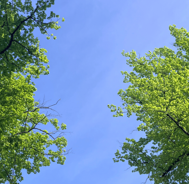 Himmel von Schwerin // &copy; Christina M&uuml;nster