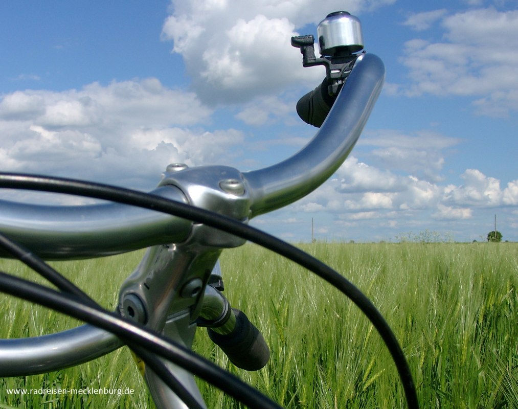 Fahrradlenker vor grünem Getreide. // © Ralf Tetmeyer, radreisen-mecklenburg Fahrradlenker vor grünem Getreide. // © Ralf Tetmeyer, radreisen-mecklenburg