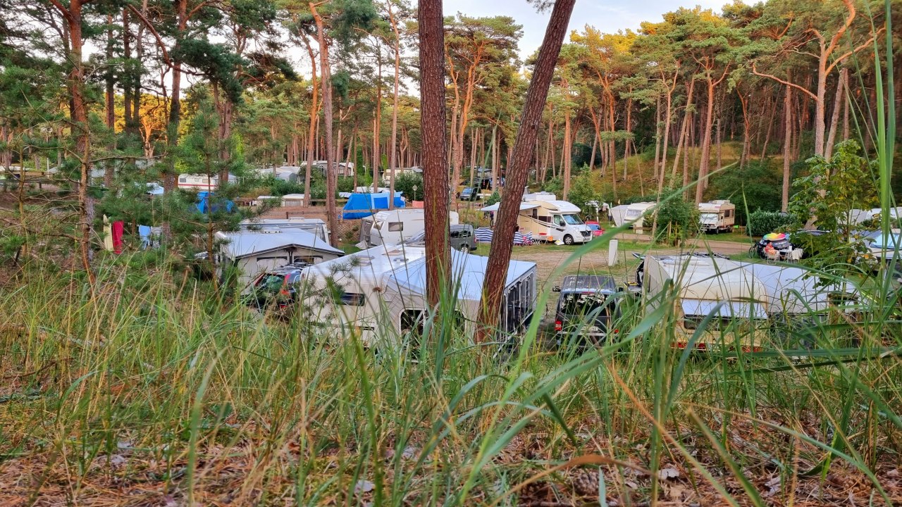 Blick auf den Campingplatz. // © KV Trassenheide Blick auf den Campingplatz. // © KV Trassenheide