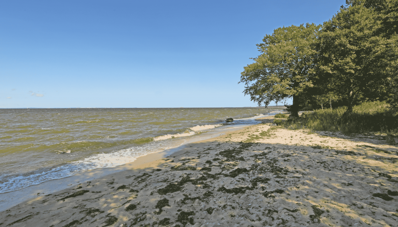 Sandstrand, © TMV/Gohlke Sandstrand, © TMV/Gohlke