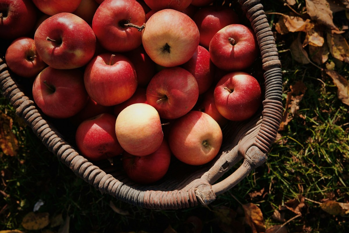 &Auml;pfel im Korb // &copy; Julia Kicova auf Unsplash