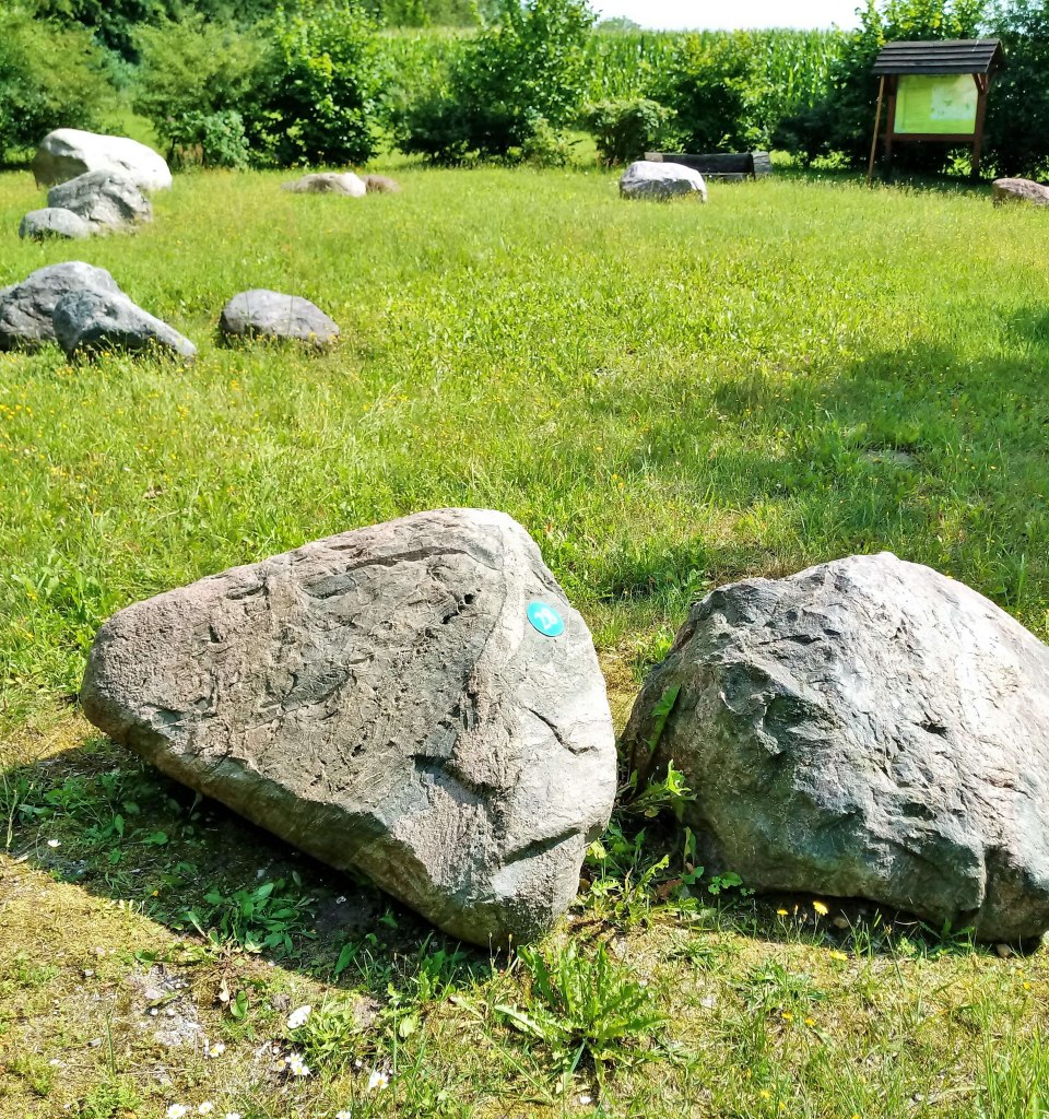 Es gibt 32 Findlinge (aktuell) im Garten. An den Steinen sind Nummern aufgebracht und eine Tafel erklärt Ihnen Anhand der Nummer, um was für einen Stein es sich handelt., © Wolfgang Mamat