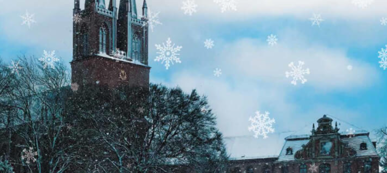 &copy; https://kloster-dobbertin.de/events/adventsmarkt-dobbertin-2026-kloster-dobbertin-28-11/