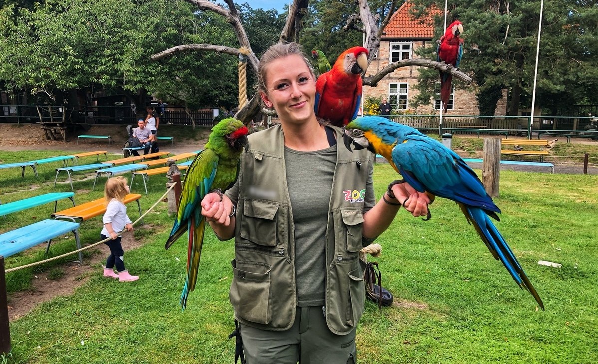 Flugshow im Zoo Stralsund, © Zoo Stralsund Flugshow im Zoo Stralsund, © Zoo Stralsund