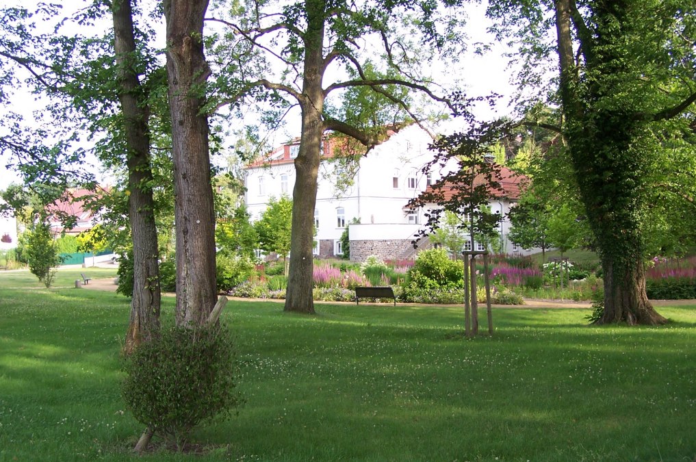 Die Parkanlage befindet sich direkt auf der R&uuml;ckseite des Haus des Gastes, &copy; Kurverwaltung Feldberger Seenlandschaft
